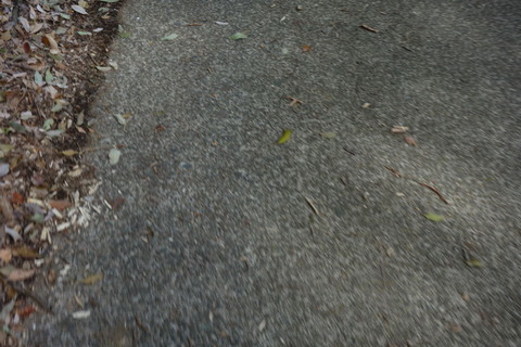 DSC02466