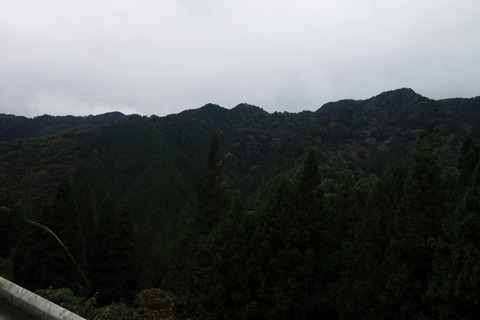 DSC09312