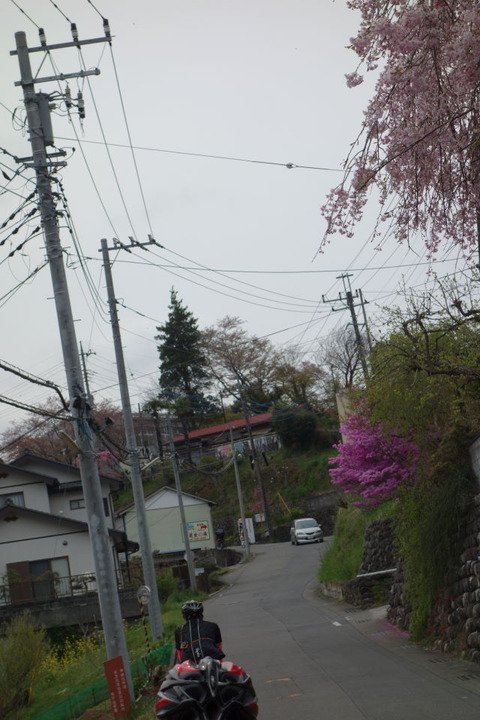 DSC02424