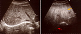 e482e015.jpg