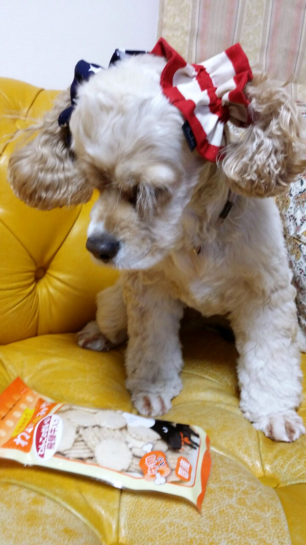 20161212_お土産企画当選2