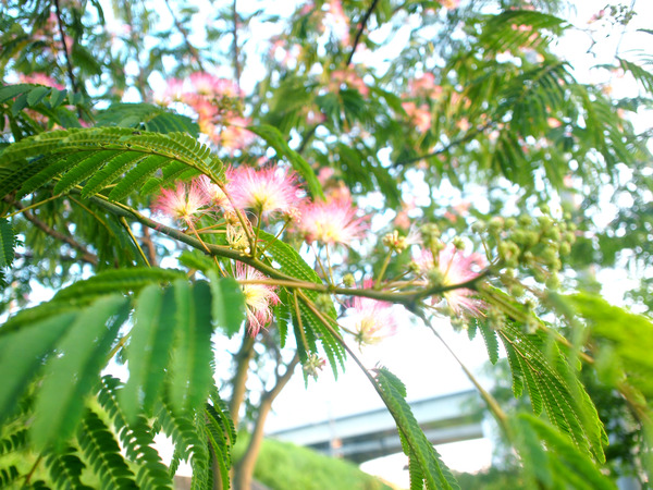 P1012905