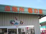 haruno