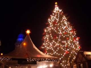 tree2