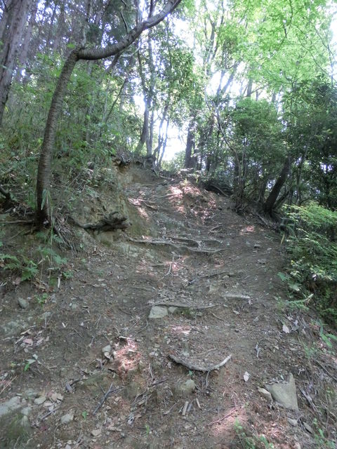 CIMG5130