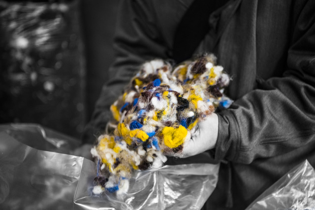 DSC_8004-2