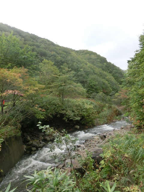 CIMG8352