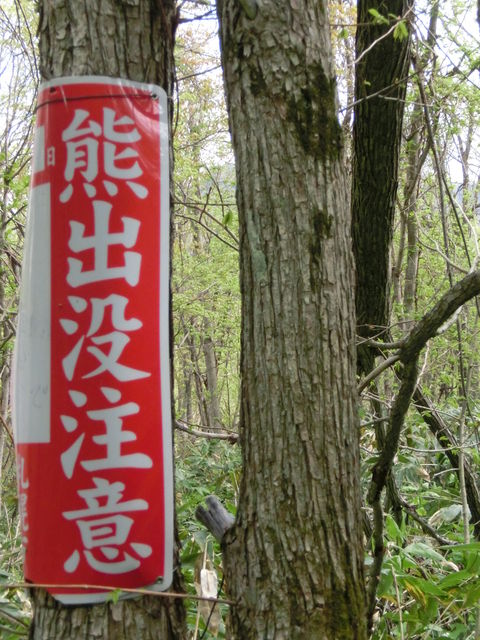 CIMG5450