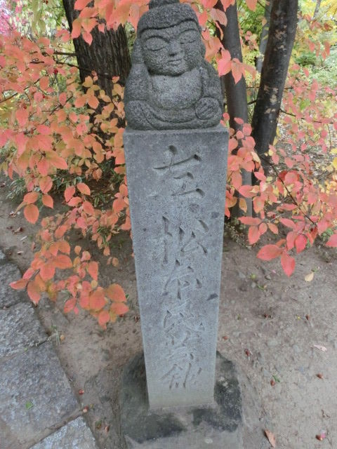CIMG7925