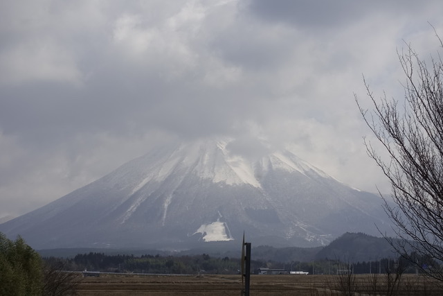 _DSC0611