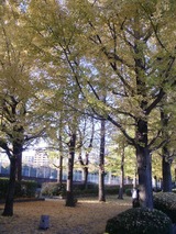 1dc07735.jpg
