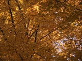 f0284e9d.jpg