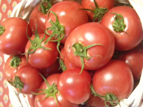 DSCN0125