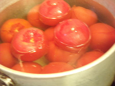 DSCN0133