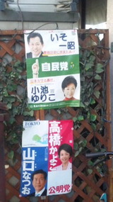 小池百合子議員・山口なつお議員