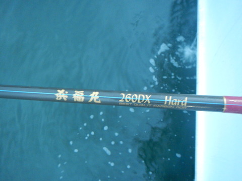 DSCN4744