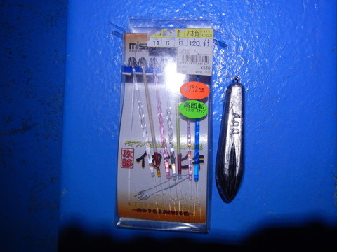 DSCN4634