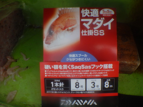 DSCN4764