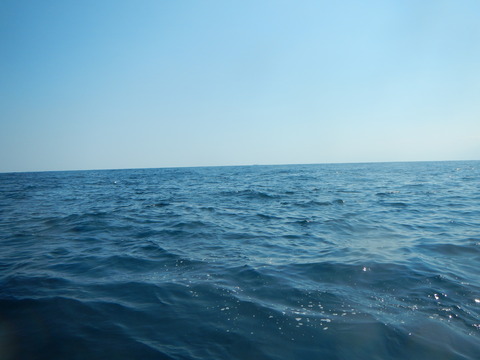 DSCN4646