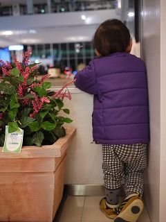 飛行機いるかな
