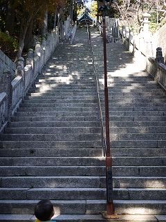 これのぼるの~?