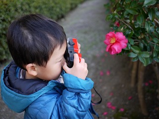 お花をぱしゃり