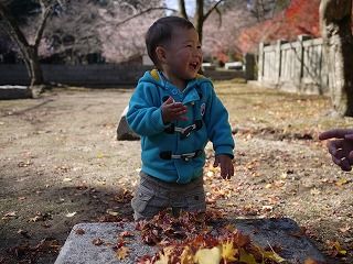 落ち葉ばぁー3