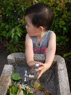 水飲み場にて1