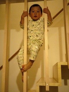 木登りつづき