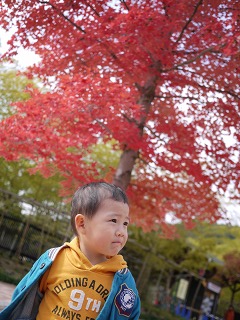 紅葉をバックに