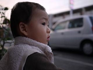 くるまがビュン