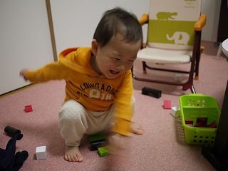 積み木・がっしゃー