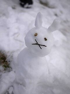雪うさぎだるま