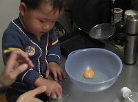 でておいでー