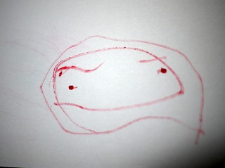 ???を描いた
