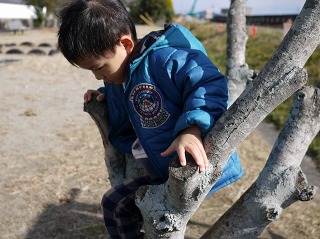 降りるの真剣