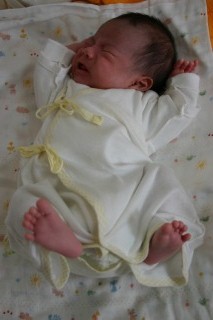 2009年5月 伸び