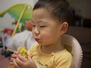 とうもろこしうま
