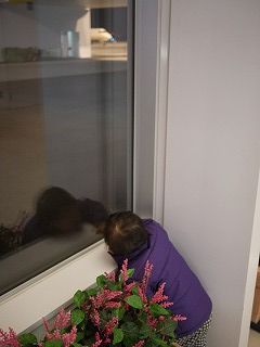 飛行機いたー