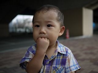 全部入ってますよ