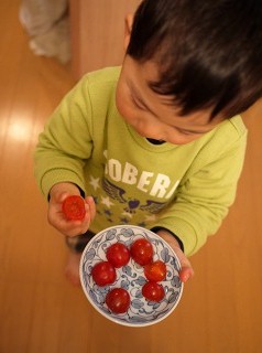 トマトのおはな