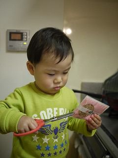 鰹節ちょっきん