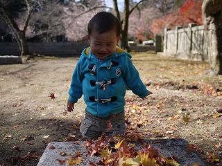 落ち葉ばぁー2