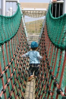 公園遊び 吊り橋