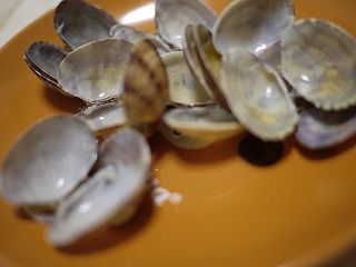 残骸
