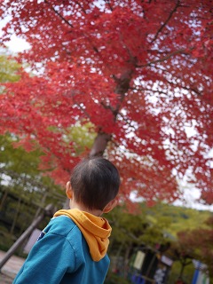 紅葉をバックに 2