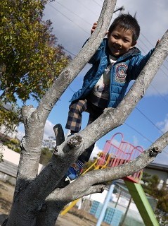 木登り