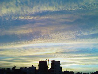 76293f3a.jpg