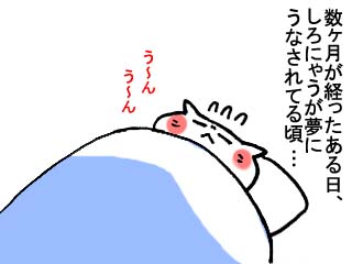 88e74979.jpg