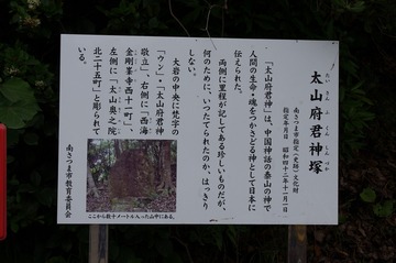 IMGP7772